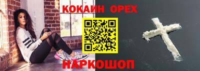 индика Можга