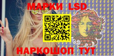 индика Можга