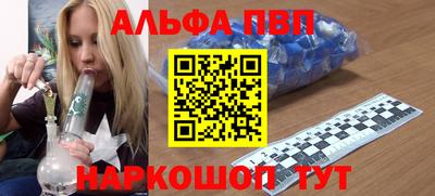 индика Можга