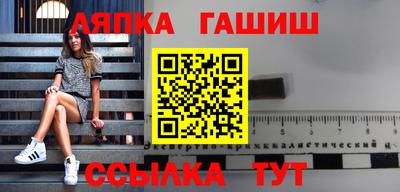 индика Можга