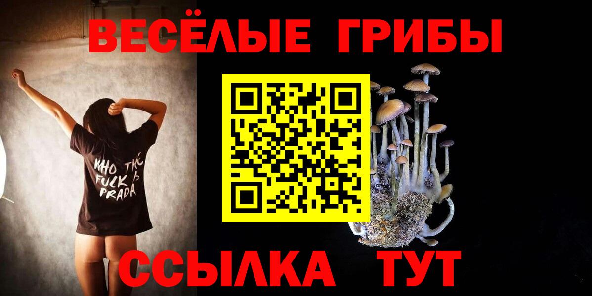 купить наркоту  Вход с VPN  Ярцево  Псилоцибиновые грибы Psilocybine cubensis 